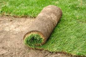 How Do You Lay Sod on a Slope?