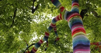 International Yarn Bombing Day Messages, Quotes, Wishes, Captions