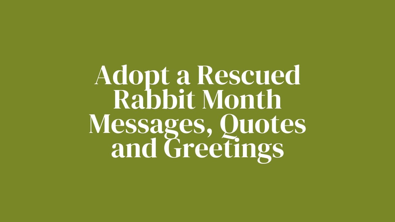 Adopt a Rescued Rabbit Month Messages, Quotes and Greetings