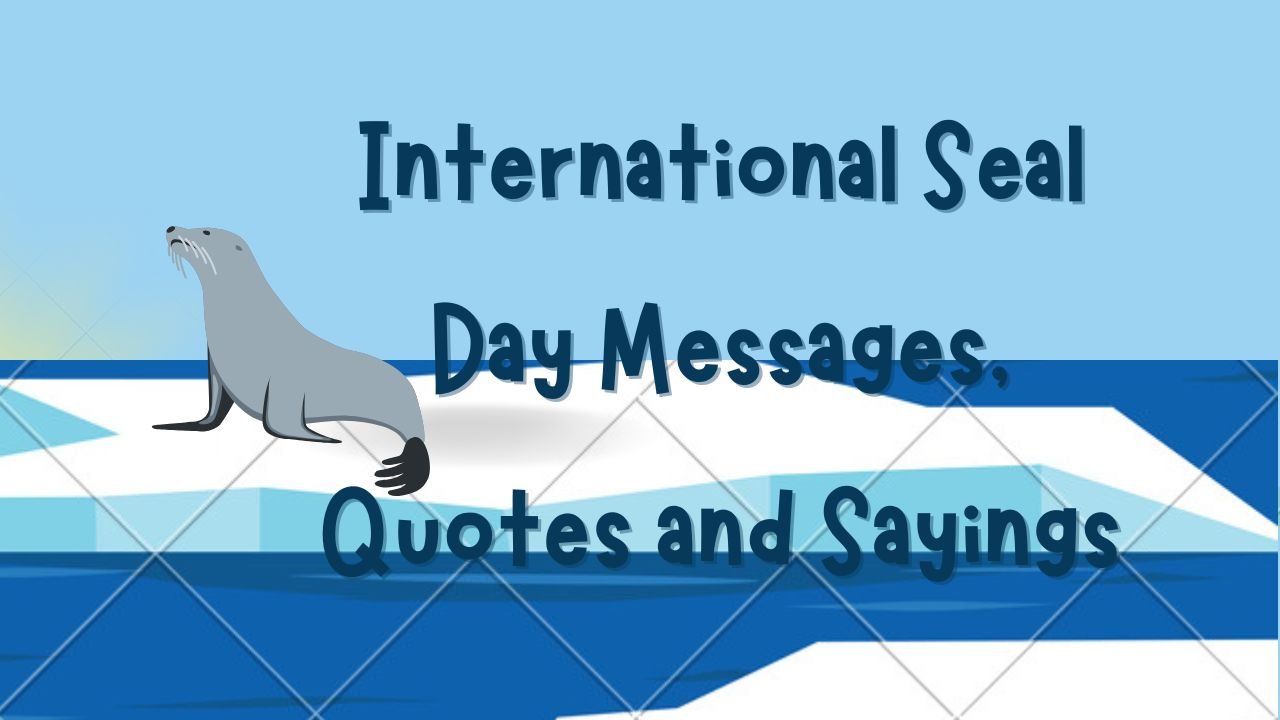 International Seal Day Messages, Quotes and Sayings